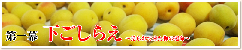 第一幕　下ごしらえ　～送られて来た梅の運命～