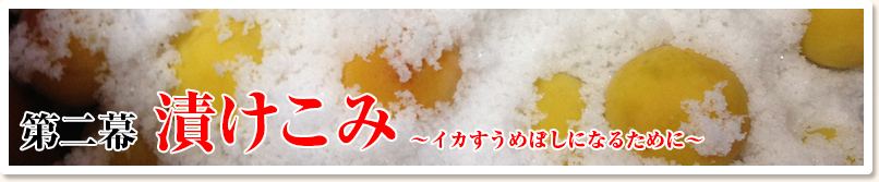 第二幕　漬けこみ　～イカすうめぼしになるために～