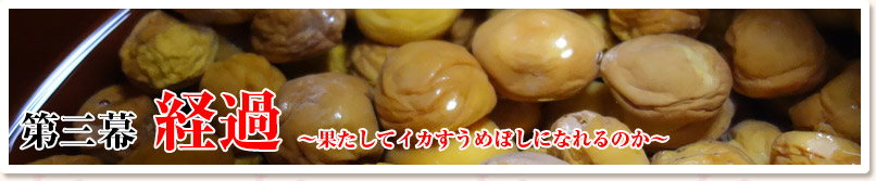 第三幕　経過　～果たしてイカすうめぼしになれるのか～