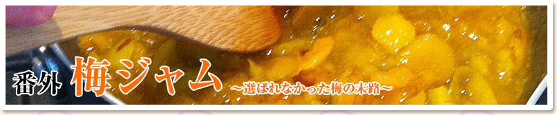 番外　梅ジャム　～選ばれなかった梅の末路～