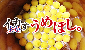 イカすうめぼし。