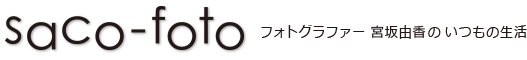 saco-foto フォトグラファー宮坂由香のいつもの生活