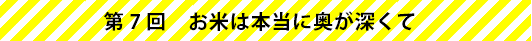 第7回　お米は本当に奥が深くて